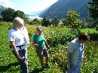 mostrare galleria Wanderung-2013-006.jpg.