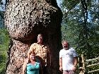 mostrare galleria Wanderung-2013-014.jpg.