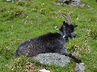 mostrare galleria Wanderung-Schnalstal-Mai-2013-048.jpg.