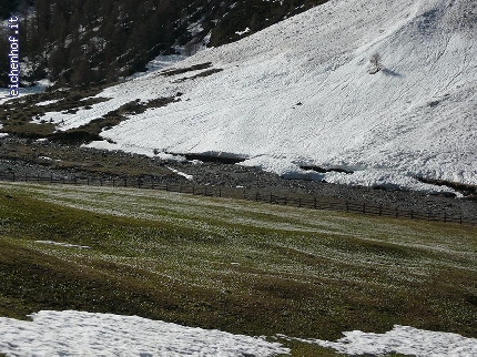 http://www.eichenhof.it/bildergalerie/cache/vs_Wanderungen%202013%20escursioni_029.jpg