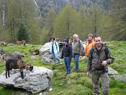 http://www.eichenhof.it/bildergalerie/cache/vs_Wanderungen%202013%20escursioni_P1040145.jpg