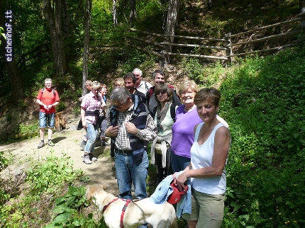 http://www.eichenhof.it/bildergalerie/cache/vs_Wanderungen%202013%20escursioni_P1040160.jpg