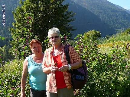 http://www.eichenhof.it/bildergalerie/cache/vs_Wanderungen%202013%20escursioni_Wanderung-2013-002.jpg