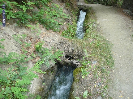 http://www.eichenhof.it/bildergalerie/cache/vs_Wanderungen%202013%20escursioni_Wanderung-2013-024.jpg